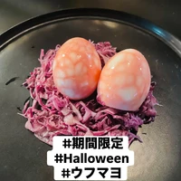画像337